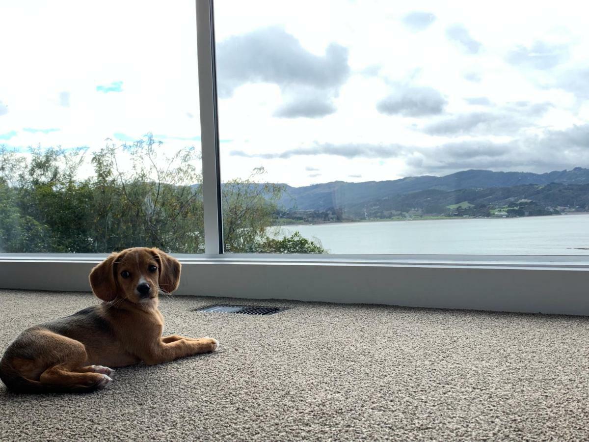 Whitby Sea View Apartment Porirua Bagian luar foto